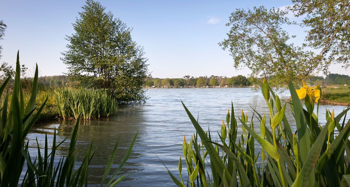 La Bastide en Gascogne - Alentours