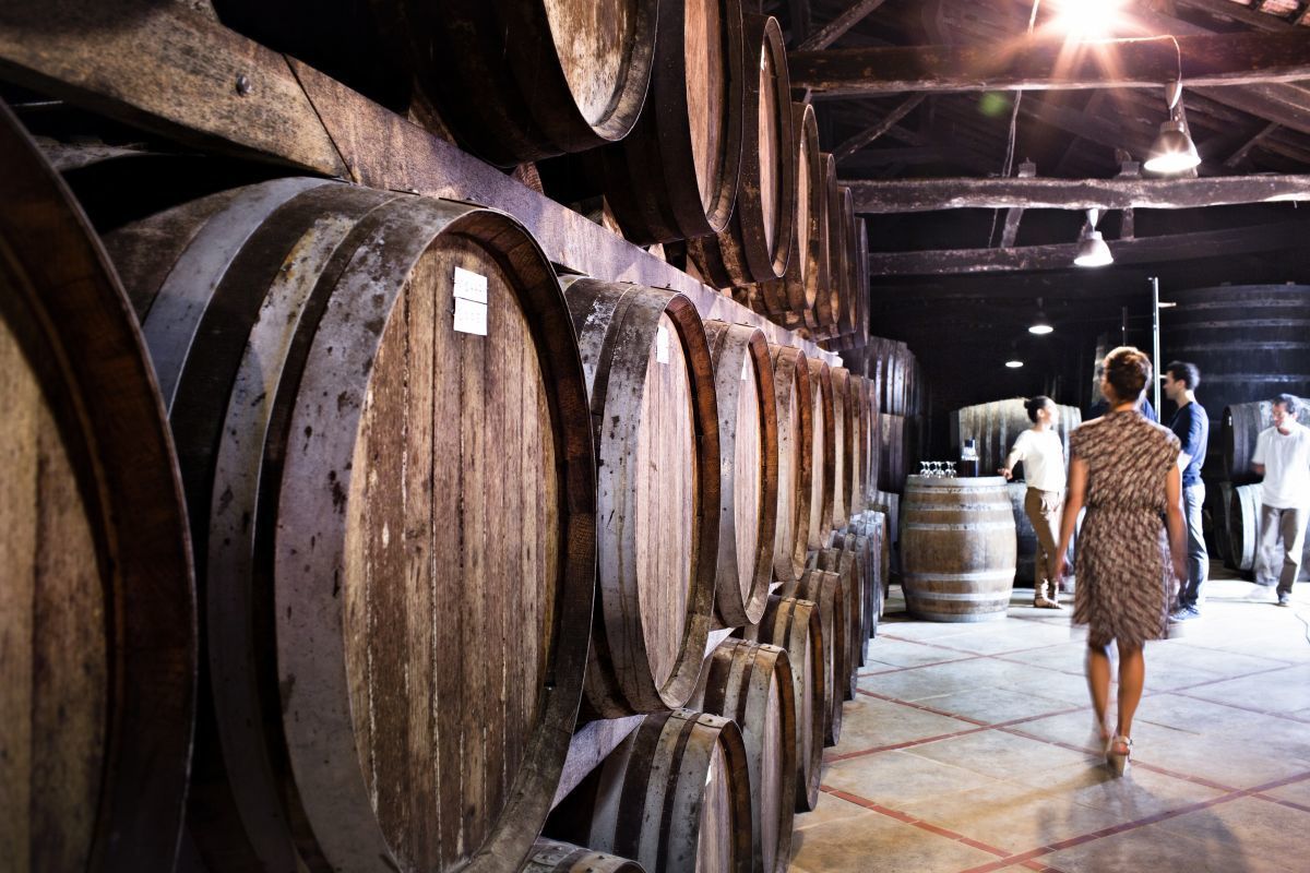 La Bastide en Gascogne - Vignoble